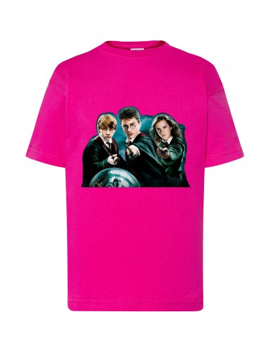 CAMISETA HARRY POTTER