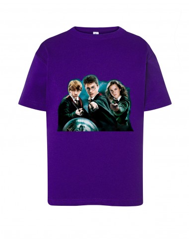 CAMISETA HARRY POTTER