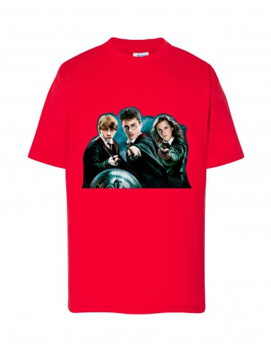 CAMISETA HARRY POTTER