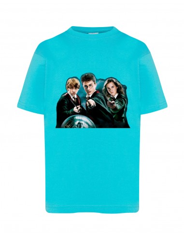 CAMISETA HARRY POTTER