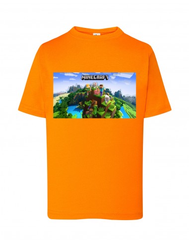 CAMISETA MINECRAFT