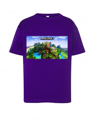 CAMISETA MINECRAFT